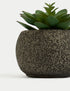 Marks & Spencer "Artificial Mini Succulent in Concrete Pot"